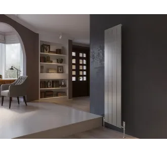Дизайнерские радиаторы LOJIMAX, коллекция KALSEDON Inox Satine