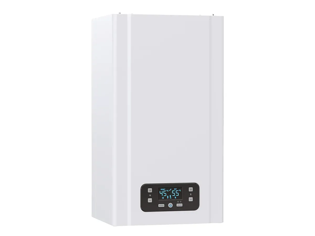 Классический газовый котел E.C.A Gerda 24 kW