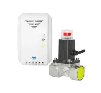 Robinet gaz PNI 200 3/4
