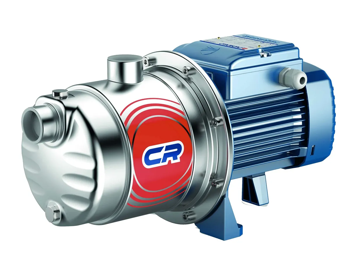 Pompa electrica centrifuga cu mai multe etape Pedrollo 5CRm100