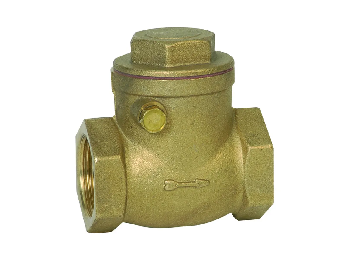Supapă de reținere cu balansier metalic 1 1/4" Genebre
