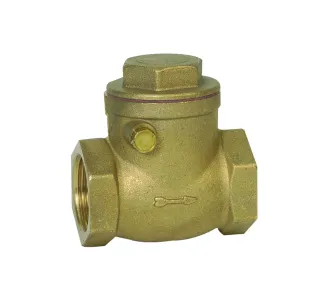 Supapă de reținere cu balansier metalic 1 1/4" Genebre