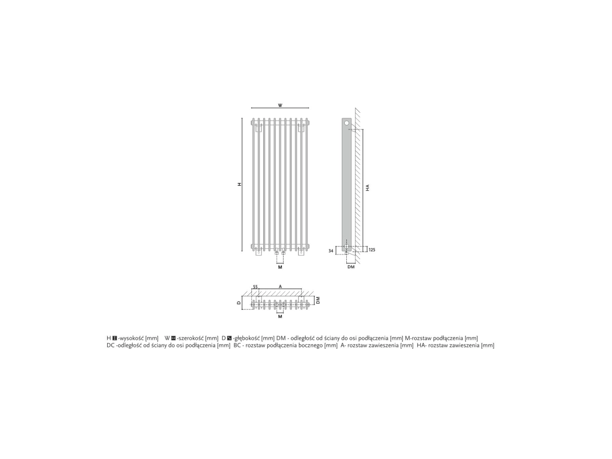 Дизайнерский радиатор GORGIEL IBERIS V AIB V 100/20